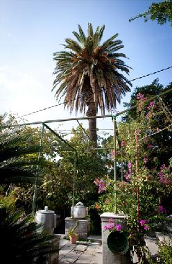Holiday Apartment in Dubrovnik (Dubrovacko-Neretvanska) or holiday homes and vacation rentals