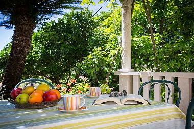 Holiday Apartment in Dubrovnik (Dubrovacko-Neretvanska) or holiday homes and vacation rentals