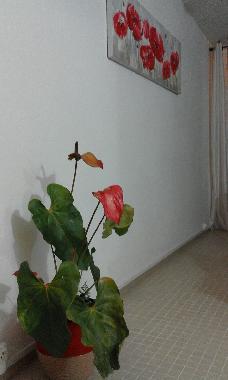 Holiday House in BASSE TERRE (Guadeloupe) or holiday homes and vacation rentals