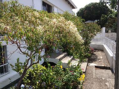 Holiday House in BASSE TERRE (Guadeloupe) or holiday homes and vacation rentals