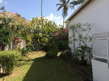 Holiday House in BASSE TERRE (Guadeloupe) or holiday homes and vacation rentals