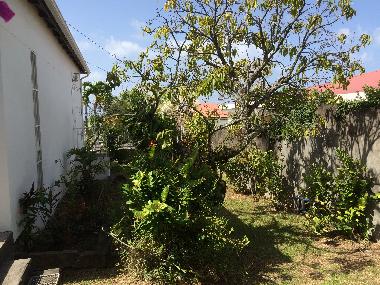 Holiday House in BASSE TERRE (Guadeloupe) or holiday homes and vacation rentals