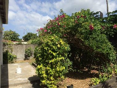 Holiday House in BASSE TERRE (Guadeloupe) or holiday homes and vacation rentals