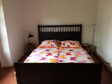 Holiday Apartment in Lucignano (Siena) or holiday homes and vacation rentals