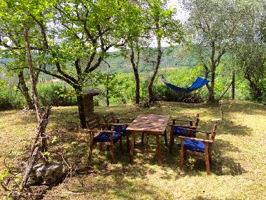 Holiday Apartment in Lucignano (Siena) or holiday homes and vacation rentals