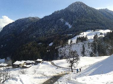 Holiday Apartment in St. Gallenkirch (Bludenz-Bregenzer Wald) or holiday homes and vacation rentals