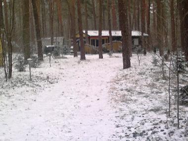 Holiday House in Bad Saarow (Oder-Spree) or holiday homes and vacation rentals