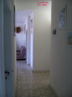 Villa in SAN MAURO MARE (Rimini) or holiday homes and vacation rentals