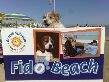 Villa in SAN MAURO MARE (Rimini) or holiday homes and vacation rentals