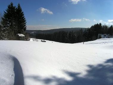 Holiday Apartment in Winterberg (Sauerland) or holiday homes and vacation rentals