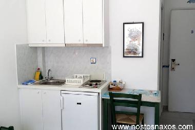 Holiday Apartment in Naxos (Kyklades) or holiday homes and vacation rentals