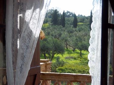 Holiday House in ZAKYNTHOS (Zakynthos) or holiday homes and vacation rentals