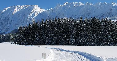 Holiday House in Bad Mitterndorf (Liezen) or holiday homes and vacation rentals