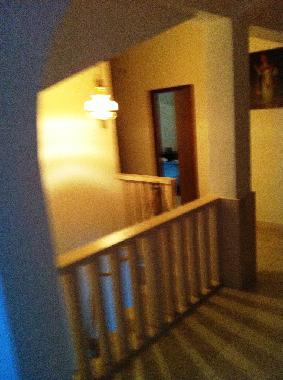 Holiday House in Molunat (Dubrovacko-Neretvanska) or holiday homes and vacation rentals