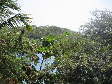 Holiday House in FORT DE FRANCE (Martinique) or holiday homes and vacation rentals