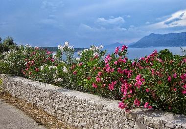 Holiday Apartment in Povlja (Splitsko-Dalmatinska) or holiday homes and vacation rentals