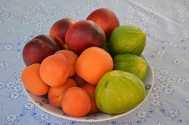 Holiday Apartment in Povlja (Splitsko-Dalmatinska) or holiday homes and vacation rentals