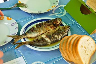 Holiday Apartment in Povlja (Splitsko-Dalmatinska) or holiday homes and vacation rentals