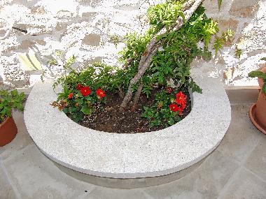 Holiday Apartment in Povlja (Splitsko-Dalmatinska) or holiday homes and vacation rentals