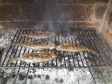 Holiday Apartment in Povlja (Splitsko-Dalmatinska) or holiday homes and vacation rentals