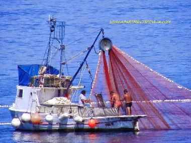 Holiday Apartment in Povlja (Splitsko-Dalmatinska) or holiday homes and vacation rentals