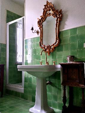 Bathroom with shower and bath tub