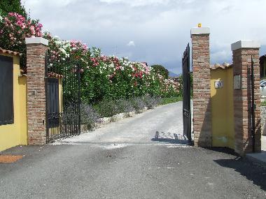 the entrance gate