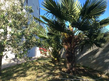 Holiday Apartment in Vodice (Sibensko-Kninska) or holiday homes and vacation rentals