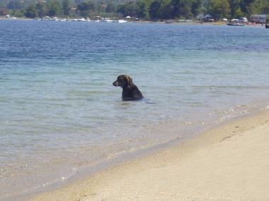 Holiday House in Psakoudia (Chalkidiki) or holiday homes and vacation rentals