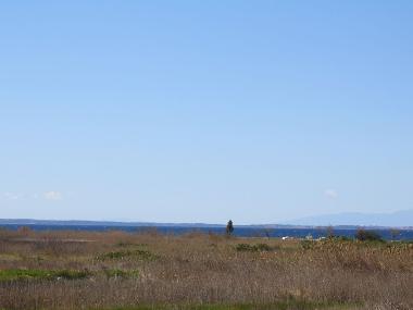 Holiday House in Psakoudia (Chalkidiki) or holiday homes and vacation rentals