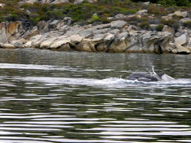 Holiday House in Psakoudia (Chalkidiki) or holiday homes and vacation rentals