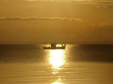 Holiday House in Psakoudia (Chalkidiki) or holiday homes and vacation rentals