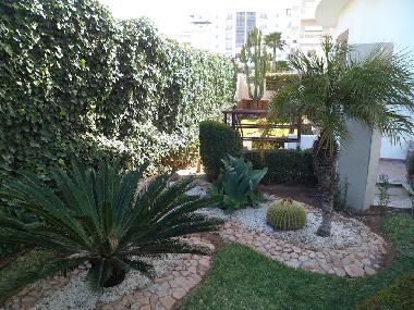 Holiday Apartment in Agadir (Agadir) or holiday homes and vacation rentals