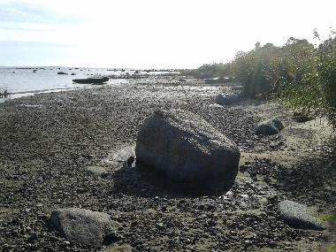 Holiday Apartment in Upesgriva (Lettland) or holiday homes and vacation rentals