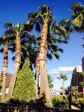 Holiday Apartment in Oropesa del Mar (Castelln / Castell) or holiday homes and vacation rentals