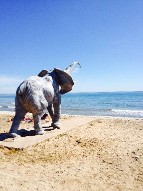 Holiday Apartment in Oropesa del Mar (Castelln / Castell) or holiday homes and vacation rentals