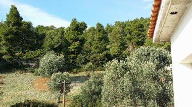 Holiday Apartment in Nerotrivia (Evvoia) or holiday homes and vacation rentals