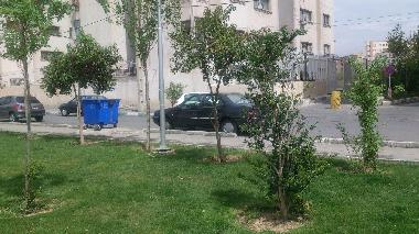 Holiday Apartment in Tehran (Tehran) or holiday homes and vacation rentals