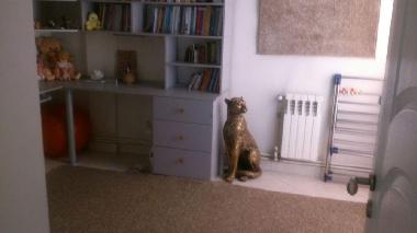 Holiday Apartment in Tehran (Tehran) or holiday homes and vacation rentals