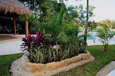 Holiday Apartment in Playa del carmen (Quintana Roo) or holiday homes and vacation rentals