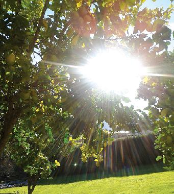 Holiday House in Lamadrid, Valdliga (Cantabria) or holiday homes and vacation rentals