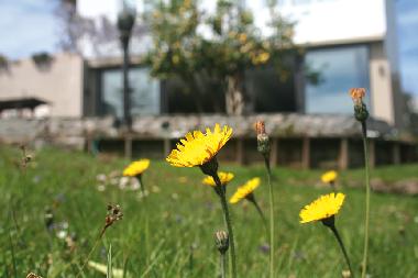 Holiday House in Lamadrid, Valdliga (Cantabria) or holiday homes and vacation rentals