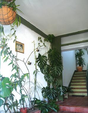 Holiday House in Lamadrid, Valdliga (Cantabria) or holiday homes and vacation rentals