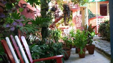 Holiday House in Vinales (Pinar del Rio) or holiday homes and vacation rentals