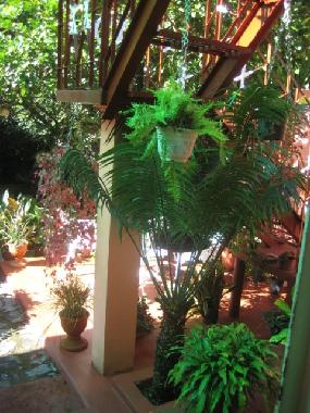 Holiday House in Vinales (Pinar del Rio) or holiday homes and vacation rentals