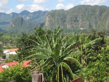 Holiday House in vinales (Pinar del Rio) or holiday homes and vacation rentals