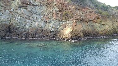 boat trips nature beauty