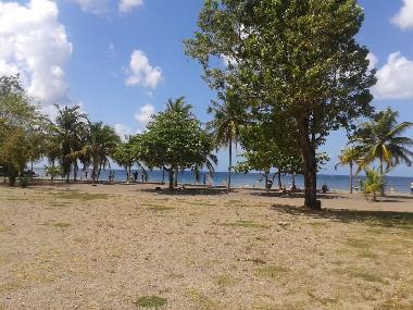 Holiday Apartment in 97233 (Martinique) or holiday homes and vacation rentals
