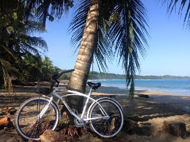 Holiday Apartment in Talamaca (Limon) or holiday homes and vacation rentals