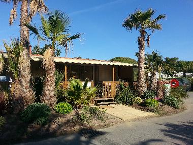 Chalet in ramatuelle (Var) or holiday homes and vacation rentals